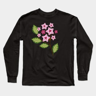 Hoya australis plant with flowers Long Sleeve T-Shirt